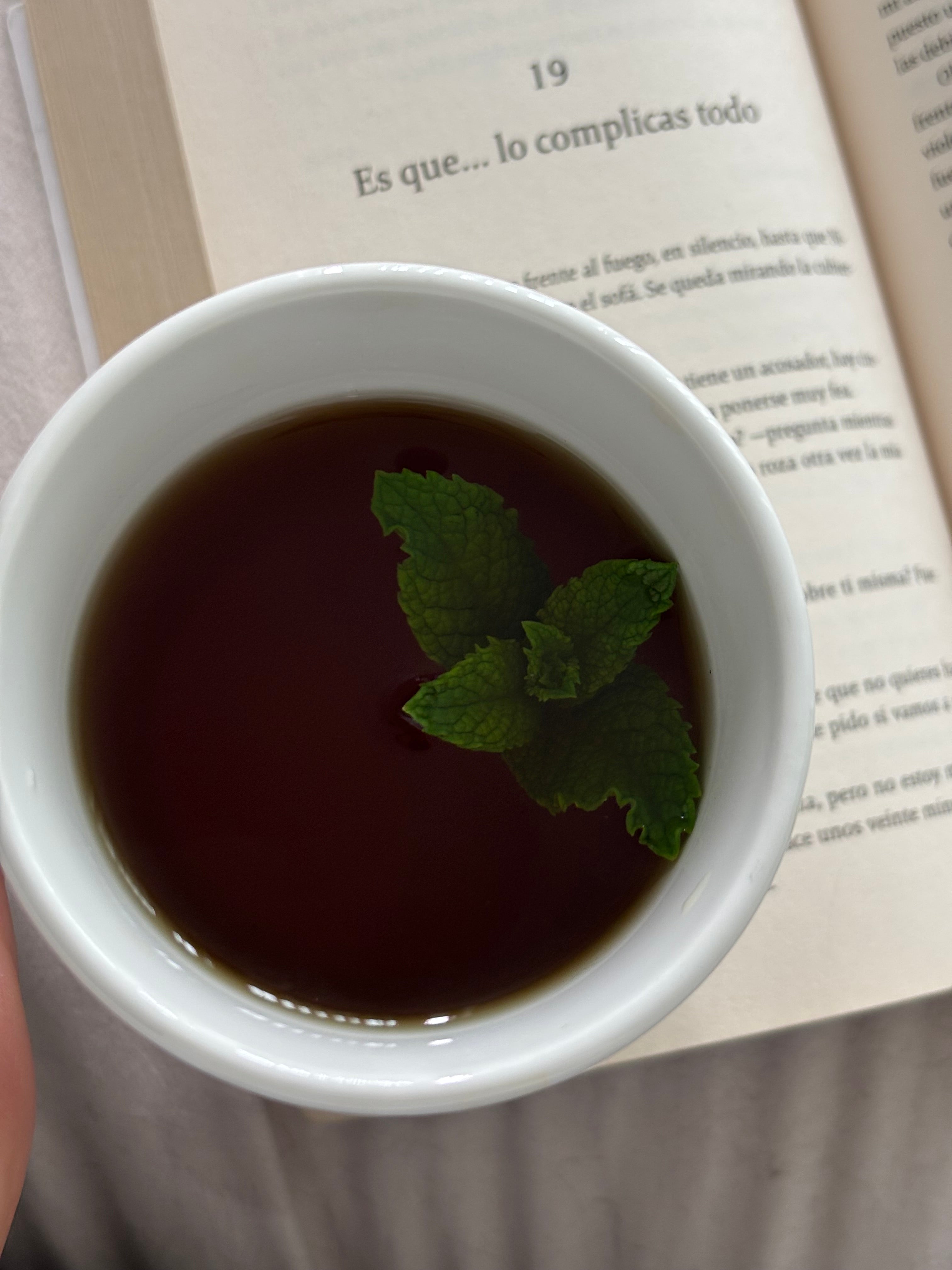 O A R Tea – Fresco Digestivo